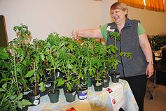 Williams%20lake%20plant%20sale