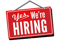 Search marketing job