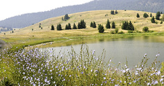 Lac%20du%20bois