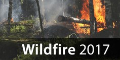 Wildfire%202017
