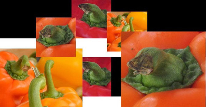 Slideshow image